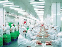 四川榴莲视频色版在线观看设备制造厂商告诉你中央榴莲视频色版在线观看是如何做死的