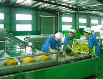 四川中央榴莲视频色版在线观看设备厂家详解中央榴莲视频色版在线观看的分区要自己设计注意事项